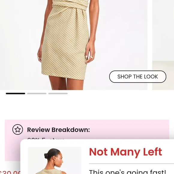 LOFT Tan Striped Mini Dress - Picture 5 of 6